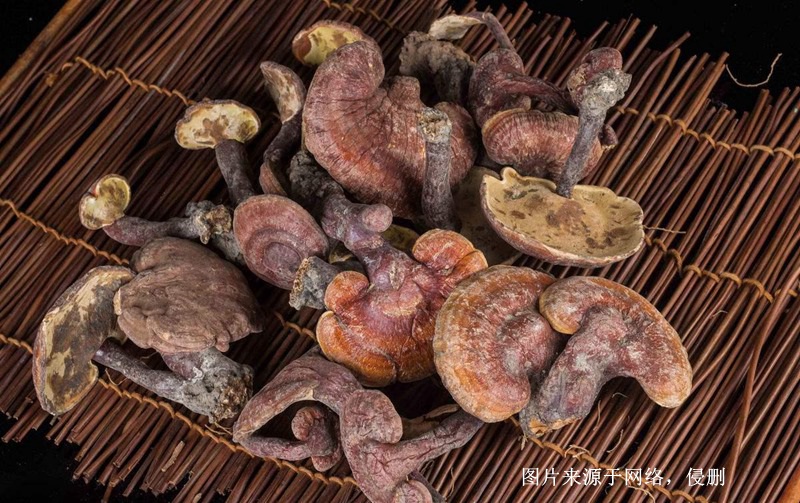 越南靈芝進(jìn)口報(bào)關(guān)資料