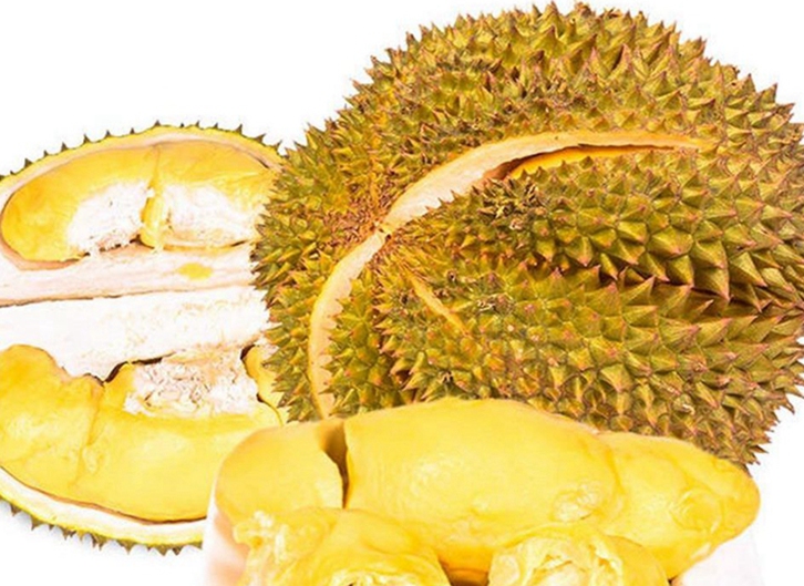 馬來西亞冷凍貓山王榴蓮進(jìn)口報關(guān)流程
