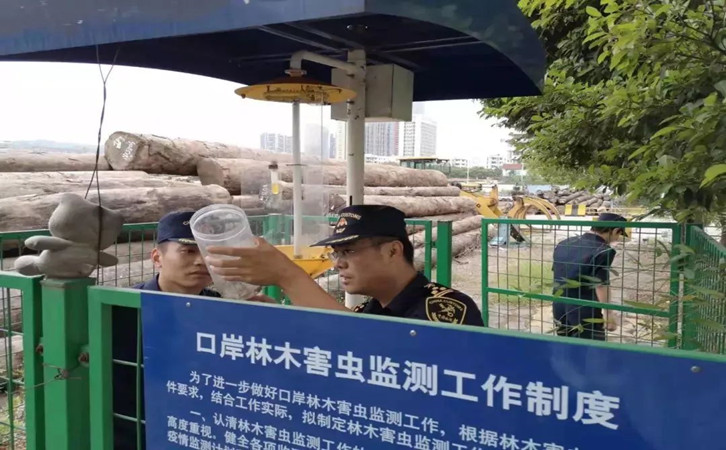 原木木材進口報關代理公司 原木木材進口報關